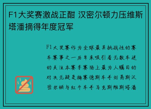 F1大奖赛激战正酣 汉密尔顿力压维斯塔潘摘得年度冠军